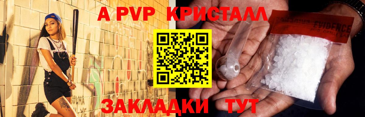 A PVP СК Междуреченск