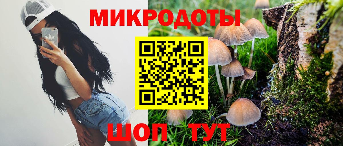 Междуреченск  Псилоцибиновые грибы мухоморы  где можно купить   Вход с VPN  Псилоцибиновые грибы Psilocybe 